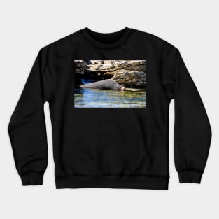 Phoque faisant la sieste Crewneck Sweatshirt